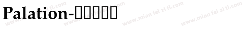 Palation字体转换