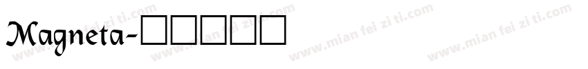 Magneta字体转换