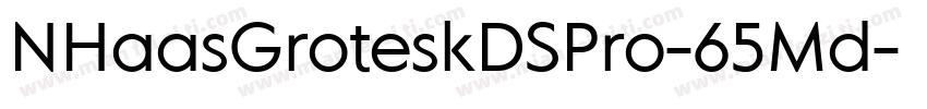 NHaasGroteskDSPro-65Md字体转换
