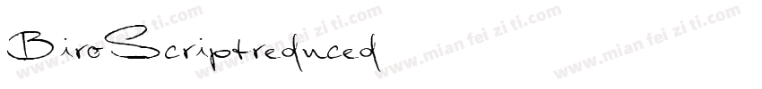 BiroScriptreduced字体转换
