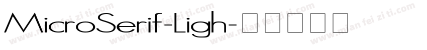 MicroSerif-Ligh字体转换