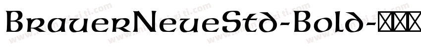BrauerNeueStd-Bold字体转换