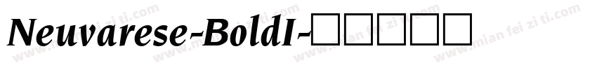 Neuvarese-BoldI字体转换