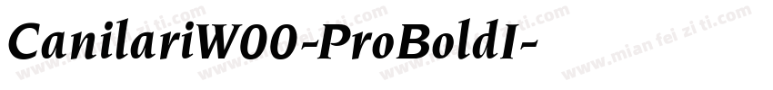 CanilariW00-ProBoldI字体转换