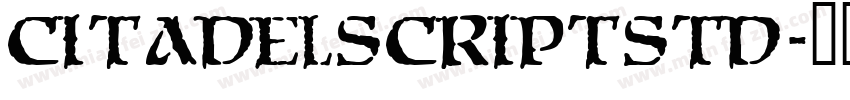 CitadelScriptStd字体转换