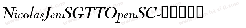 NicolasJenSGTTOpenSC字体转换