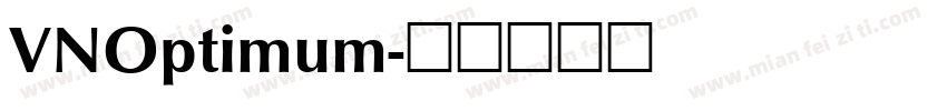 VNOptimum字体转换