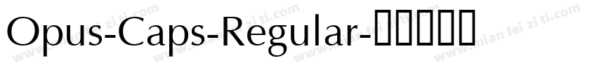 Opus-Caps-Regular字体转换