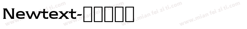 Newtext字体转换
