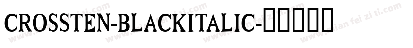 CROSSTEN-BLACKITALIC字体转换