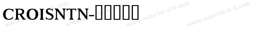 CROISNTN字体转换