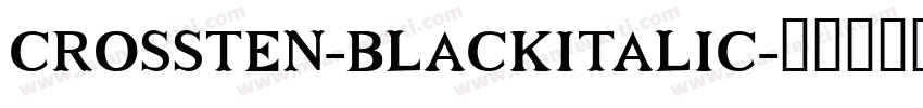 CROSSTEN-BLACKITALIC字体转换