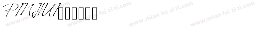 PINHUI字体转换