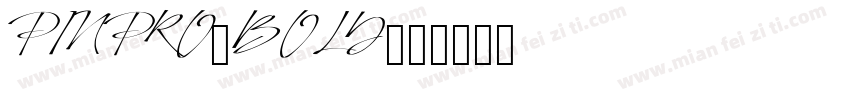 PINPRO-BOLD字体转换