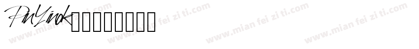 PinYinok常规字体转换