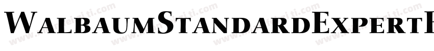 WalbaumStandardExpertBQ-Medium字体转换