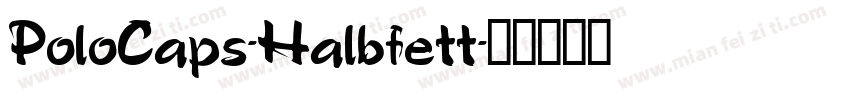 PoloCaps-Halbfett字体转换