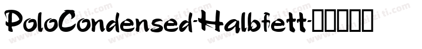 PoloCondensed-Halbfett字体转换