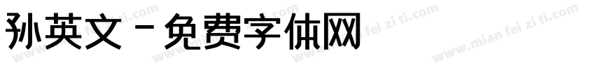 孙英文字体转换