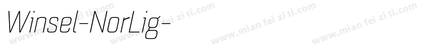 Winsel-NorLig字体转换