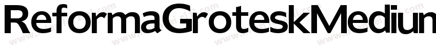 ReformaGroteskMedium字体转换