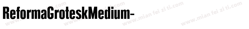 ReformaGroteskMedium字体转换
