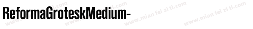 ReformaGroteskMedium字体转换