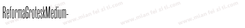 ReformaGroteskMedium字体转换