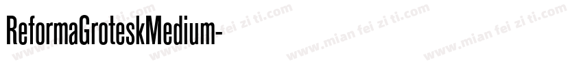 ReformaGroteskMedium字体转换