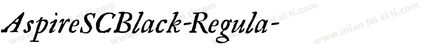 AspireSCBlack-Regula字体转换