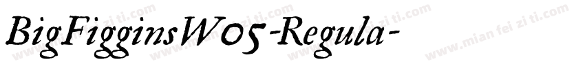 BigFigginsW05-Regula字体转换