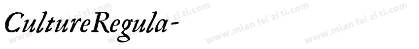 CultureRegula字体转换