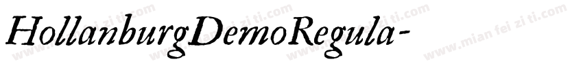 HollanburgDemoRegula字体转换