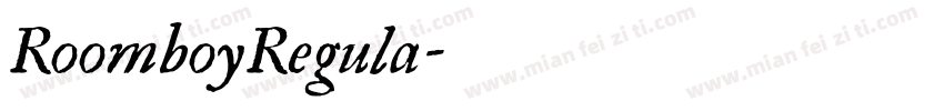 RoomboyRegula字体转换