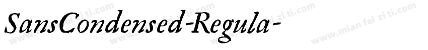 SansCondensed-Regula字体转换