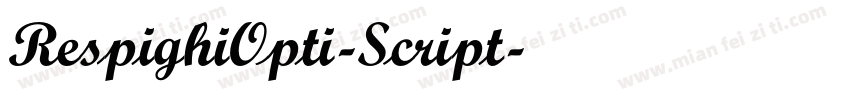RespighiOpti-Script字体转换