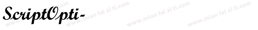 ScriptOpti字体转换