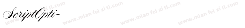 ScriptOpti字体转换