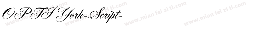 OPTIYork-Script字体转换
