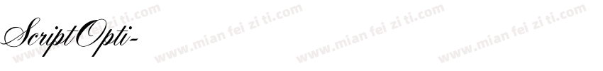 ScriptOpti字体转换