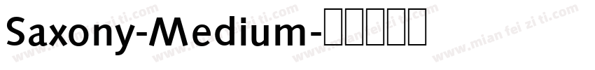 Saxony-Medium字体转换