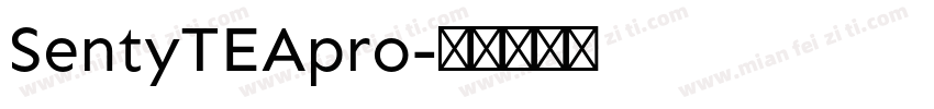 SentyTEApro字体转换