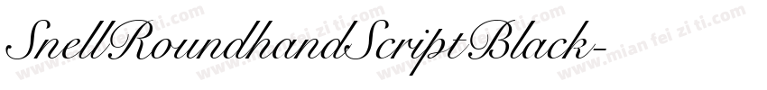 SnellRoundhandScriptBlack字体转换