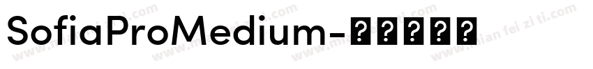 SofiaProMedium字体转换