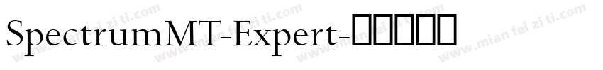 SpectrumMT-Expert字体转换
