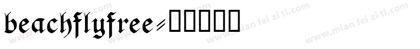 beachflyfree字体转换