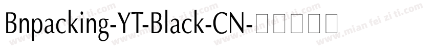 Bnpacking-YT-Black-CN字体转换