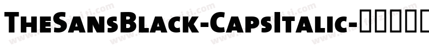 TheSansBlack-CapsItalic字体转换