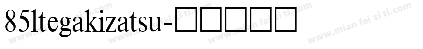 85ltegakizatsu字体转换
