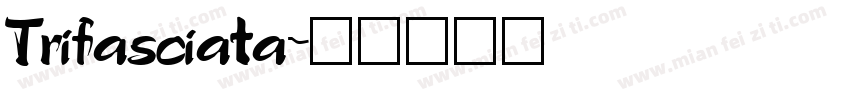 Trifasciata字体转换